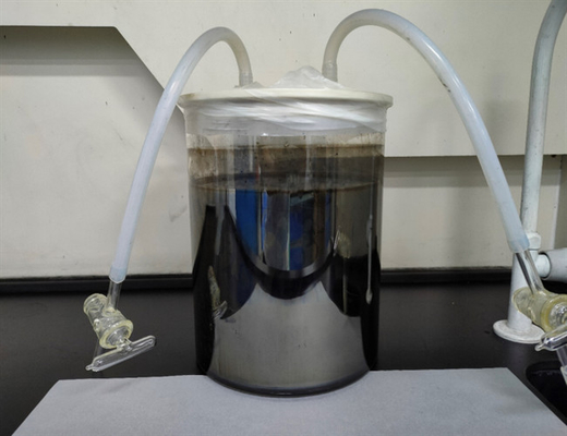 Καταλύτης των Μαύρων λευκόχρυσου COA, επιπλατινωμένος αμίαντος 1,347 διαθλαστικός
